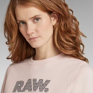 NWT G-Star Anglaise RAW Sweatshirt Color Pyg Size S